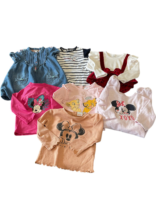 Lot kamelya 2