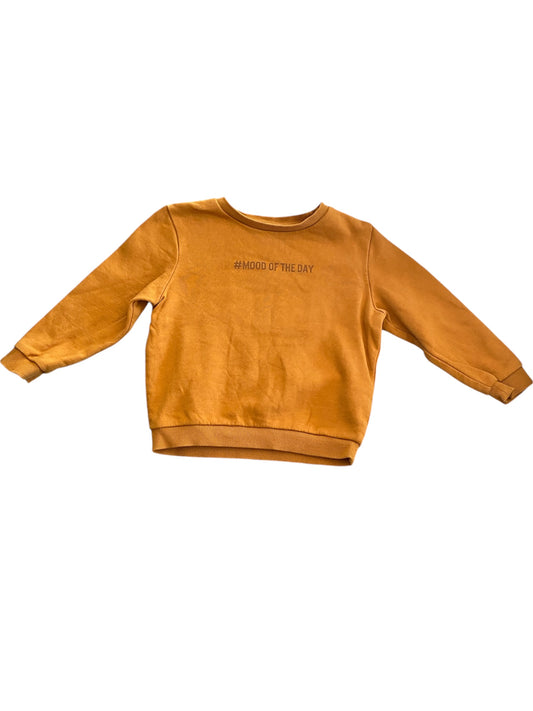 Sweat garçon 36 Mois