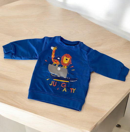 Pull In Flux 6 Mois